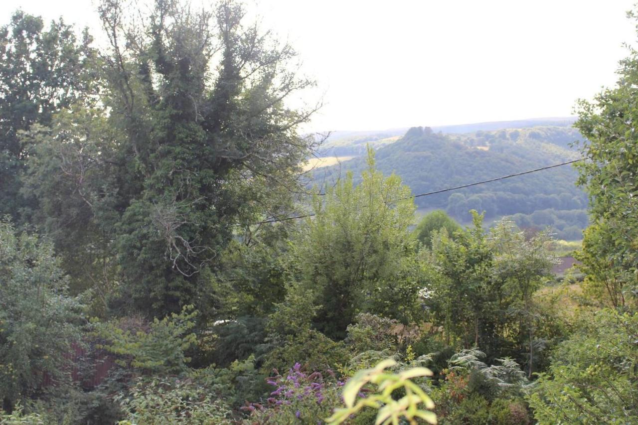 Relaxing Pet Friendly 2-Bed Cottage In Rhandirmwyn Ландоувъри Екстериор снимка